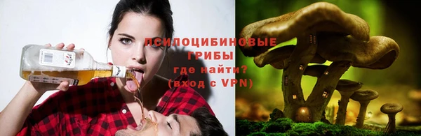 твердый Алзамай